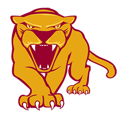 UMN Morris Softball Camps and Leagues